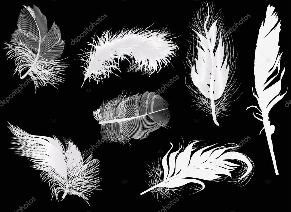 seven light feathers