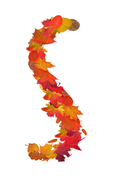 Letra S de hojas de otoño — Foto de Stock