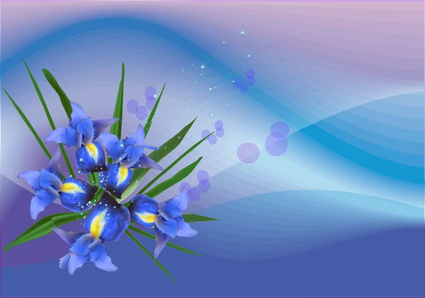 Iris bleu fleurs — Image vectorielle