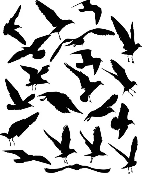 Gulls silhouettes collection — Stock Vector