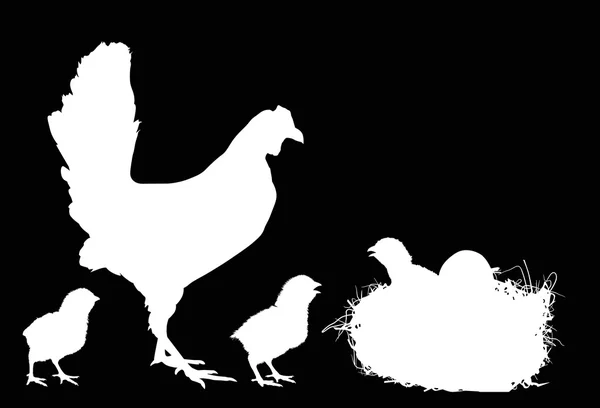 Newborn chickens and hen — Stock Vector