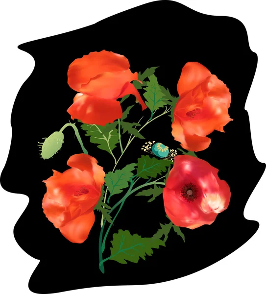 Mohn Blumen und Blätter — Stockvektor