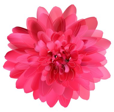 Pembe çiçek çiçek