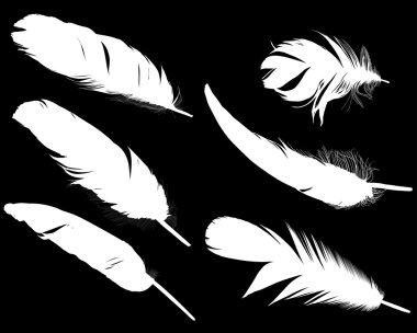 Beyazlara siluetleri