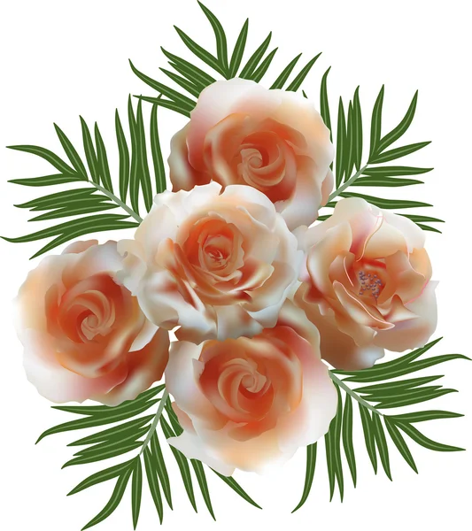 Roses roses délicates — Image vectorielle