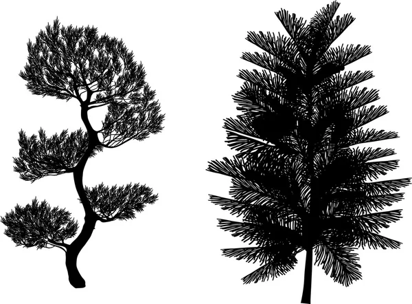Svart pines silhuetter — Stock vektor