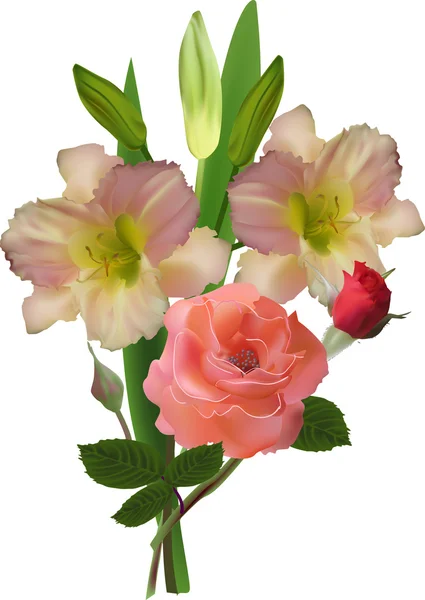 Liljor och rosa rosa blommor — Stock vektor