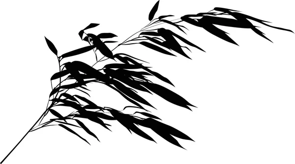 Zwarte bamboe branch — Stockvector