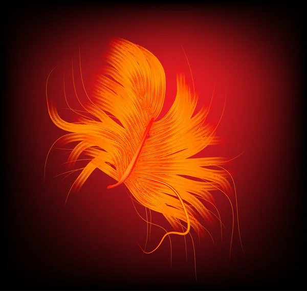 Flame color feather — Stock Vector