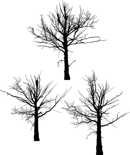 Silhuetas de árvores negras — Vetor de Stock