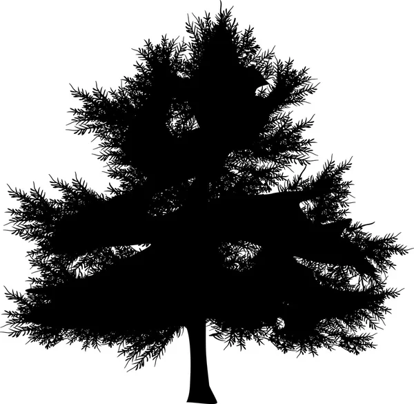 Karanlık köknar ağacı — Stok Vektör