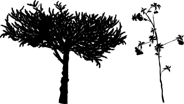 Silhouette di piccoli alberi — Vettoriale Stock