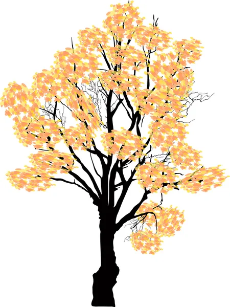 Yellow fall tree — Stock Vector