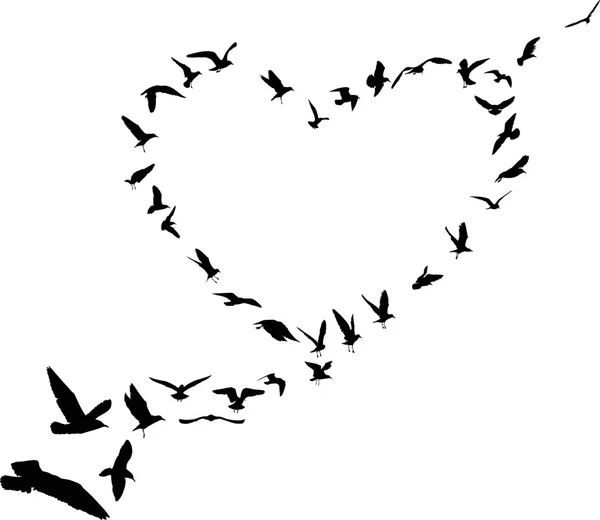 Coração de silhuetas de gaivotas — Vetor de Stock