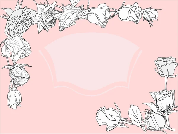 Witte rozen schetsen — Stockvector