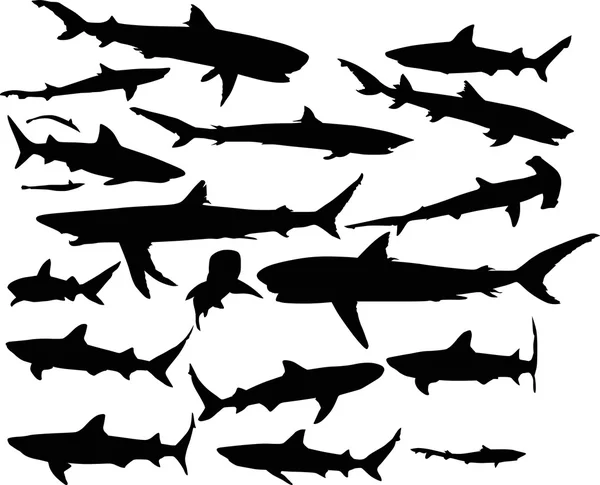 Conjunto de siluetas de tiburones — Vector de stock