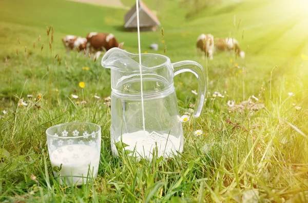 Leite em frasco de vidro e vacas — Fotografia de Stock