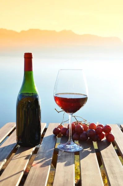 赤ワインとブドウ — ストック写真