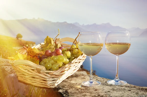Weißwein und Trauben — Stockfoto