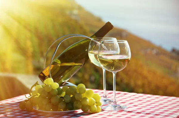 White wine and grapes — Stock Photo, Image