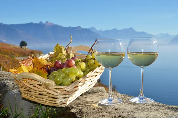 White wine and grapes — Stock Photo, Image