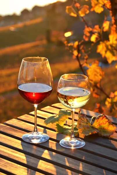 Weiß- und Rotwein — Stockfoto