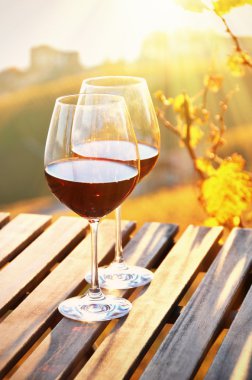 Lavaux üzüm bağları karşı şarap