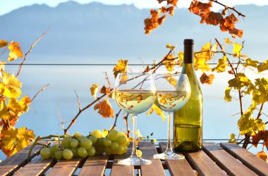 Lavaux üzüm bağları karşı şarap