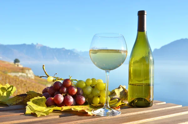 Vína proti Vinice Lavaux — Stock fotografie