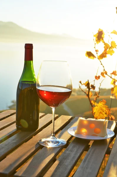 Vinho e queijo contra o lago de Genebra — Fotografia de Stock