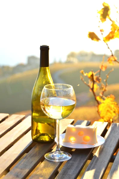 Wino i ser przed nad Jeziorem Genewskim — Zdjęcie stockowe