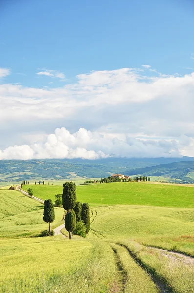 Typisch Toscaanse landschap. — Stockfoto