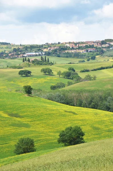 Typisch Toscaanse landschap. — Stockfoto