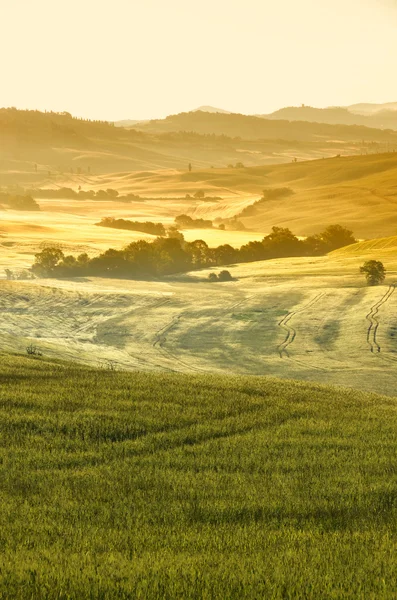 De manhã cedo na Toscana, Itália — Fotografia de Stock