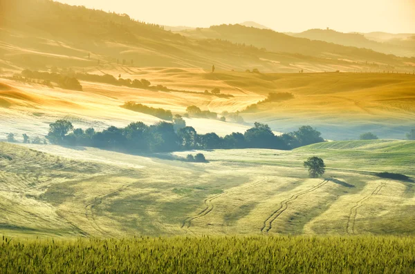 De manhã cedo na Toscana, Itália — Fotografia de Stock