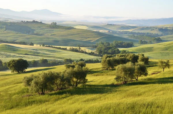 Temprano en la mañana en Toscana, Italia — Foto de Stock