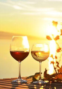 Lavaux üzüm bağları karşı şarap