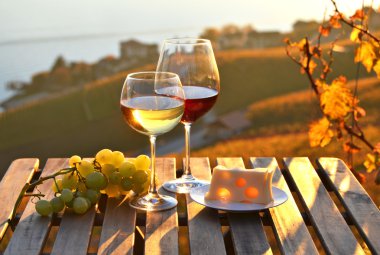 Lavaux üzüm bağları karşı şarap