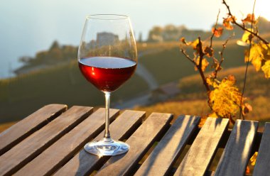 Lavaux üzüm bağları karşı şarap