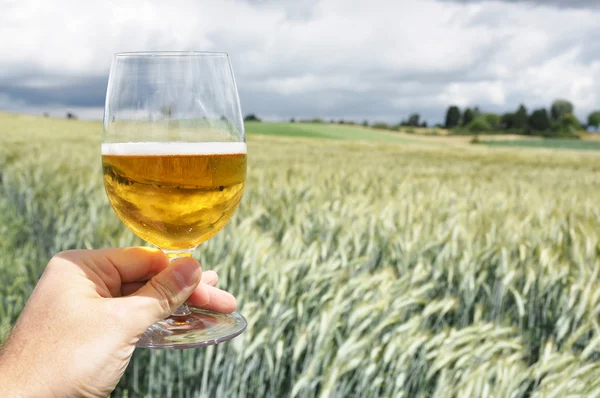 Glas öl i handen — Stockfoto