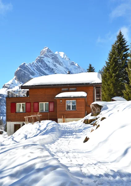 Alpine scenery, Braunwald, Switzerland — Stock Photo, Image