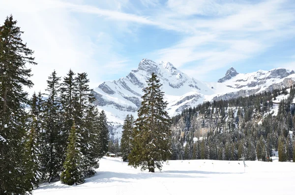 Альпійськими пейзажами, Браунвальд, Швейцарія — стокове фото