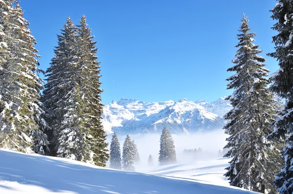 Alpint landskap, Braunwald, Sveits – stockfoto