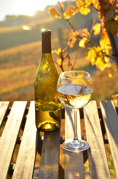 Víno z Lavaux na stole — Stock fotografie