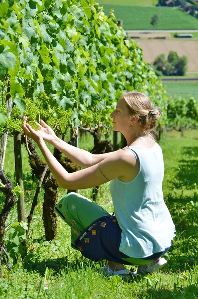 Giovane donna tra i vigneti . — Foto Stock