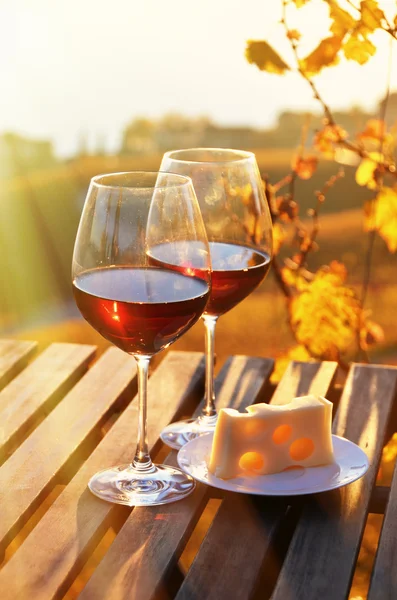 Wina i winogron przeciwko nad Jeziorem Genewskim — Zdjęcie stockowe