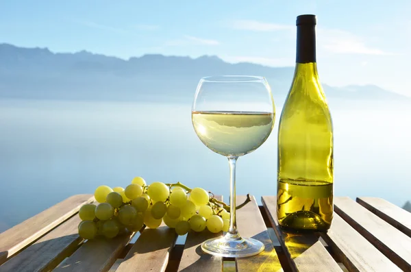 Wijn en druiven tegen Genève lake — Stockfoto