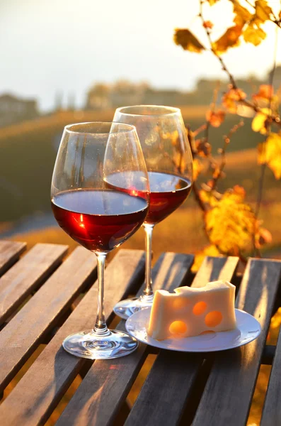 Wein und Trauben gegen den Genfer See — Stockfoto