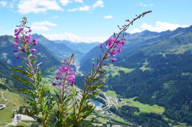Gotthard pass üzerinden Alp sahne