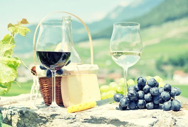 Glasses of wine and grapes — Stock Photo, Image
